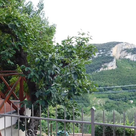 Quercia -in Caruggiu Di Via Vecchia *